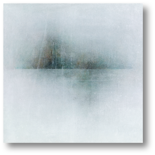 Silent Landscape - Mourning 
Dove
20x20